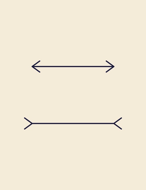 Müller-Lyer Illusion